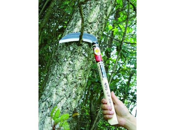 �ڤ����󤻡�˭̭ ������ξ���ڳ�165mm HT-0660 �� ���� �ĥ�ϥ� ���� ���Ȼ�� ������� ������� ����