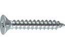 【お取り寄せ】TRUSCO 皿頭タッピングねじ ステンレス M4×10 100本入 B10-0410 ボルト 素材 ねじ 釘 作業 工具