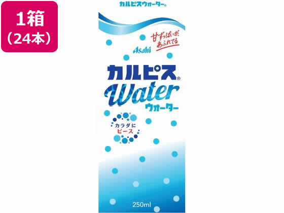 エルビー カルピスウォーター 250ml 24本 ジュース 清涼飲料 缶飲料 ボトル飲料