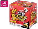 アイリスオーヤマ ぽかぽか家族 レギュラー 30P PKN-30R カイロ メディカル