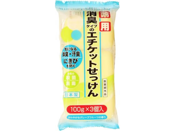 【お取り寄せ】マックス 薬用エチケット石けん 100g×3個 固形せっけん ハンドケア スキンケア