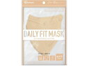 【お取り寄せ】アイリス DAILYFITMASK立体 ふつう 5枚入 シルクベージュ マスク 鼻 のど メディカル