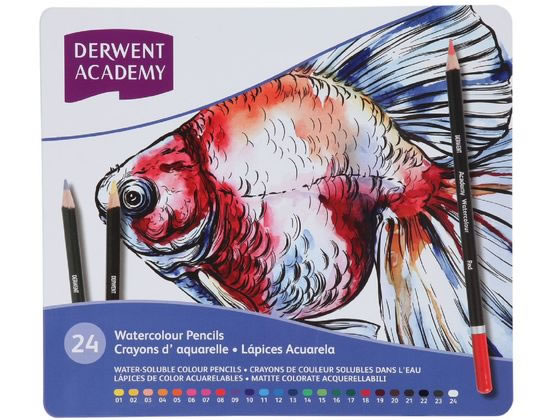 アコ・ブランズ・ジャパン ダーウェントアカデミー ウォーターカラー24 2301942 色鉛筆 セット 教材用筆記具