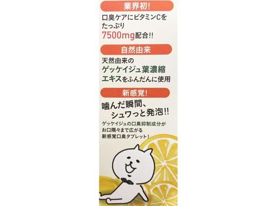 ���ǥ��ꥨ���ƥ��֥ѡ��ȥʡ��� �֥쥹���ꥢ vita+ ����̣ 50γ ���֥�å� γ������ �����к� ������륱��