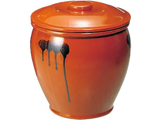 ڤ󤻡ۻƫ եߥȾƹ 0.2 3058100 å󻨲