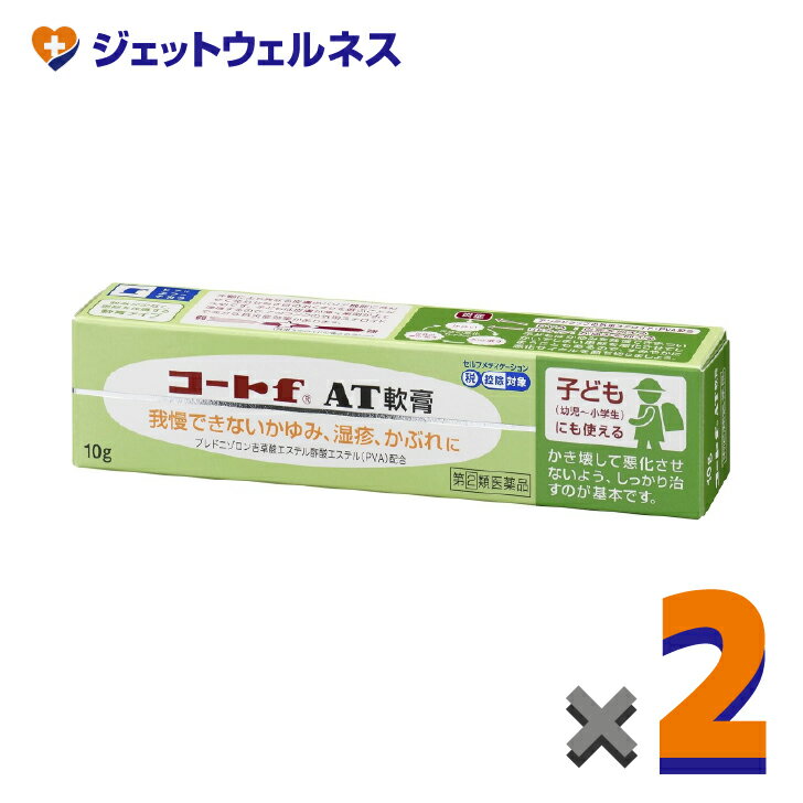 (2)ʡۥf AT 10g 2 եǥоݡ̻ҤɤˤȤ롦ѥס