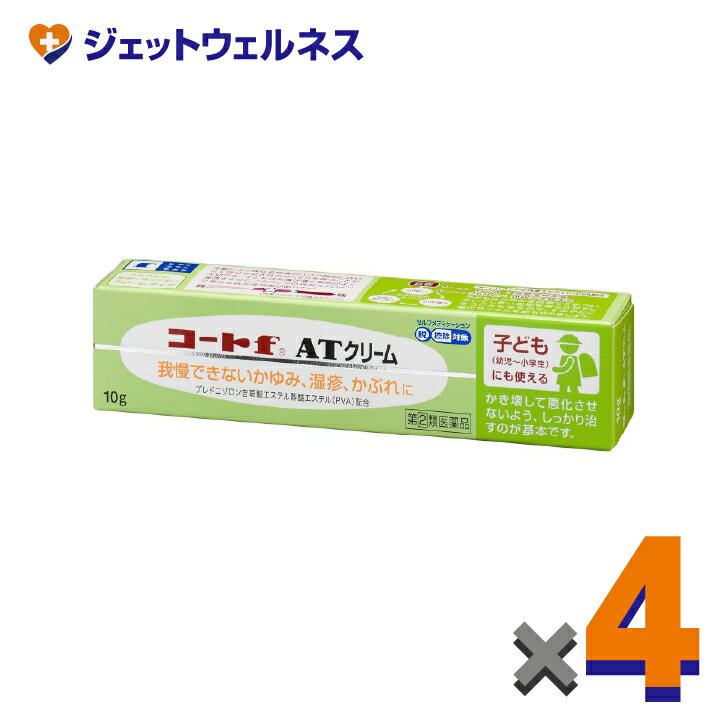 (2)ʡۥf AT꡼ 10g 4 եǥоݡ̻ҤɤˤȤ롦꡼ॿס