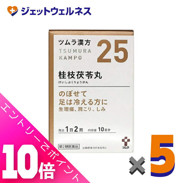 楽天ジェットウェルネス≪超お得！11月も毎日全商品P10倍！≫【第2類医薬品】ツムラ漢方桂枝茯苓丸料エキス顆粒A 20包 ×5個〔漢方 けいしぶくりょうがん〕