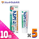 ≪ポイント大放出!10月も毎日全商品P10倍!≫【第3類医薬品】アセスL 160g ×5個