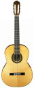 ARIA A-50S Basic classic guitar アリア クラシックギター ベーシック・シリーズ トップスプルース単板