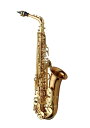 [当社調整済み]【セット商品】YANAGISAWA Alto Saxophone A-WO2 SETヤナギサワ アルトサックス サクソフォン セット【初心者セット】【アクセサリーセット】