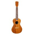 Famous Ukulele FC-5Gフェイマス コンサートウクレレ【Stage-Rakuten】