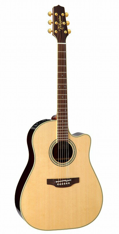 Takamine PTU841C Nタカミネ 高峰楽器製作所 エレアコ アコースティックギター フォークギター エレアコ800シリーズ【Stage-Rakuten Guitar】