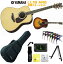 YAMAHA L-Series LL16 AREޥ 鿴ԥå  ƥå ʥ ե  쥢StageRakuten Guitar SET