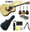 YAMAHA L-Series LL6 ARE NATޥ 鿴ԥå  ƥå ʥ ե  쥢StageRakuten Guitar SET