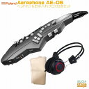 【ヘッドホン・お手入れクロス・専用ケース付 セット】Roland Aerophone GO AE-05 ローランド エアロフォンDigital Wind Ins...