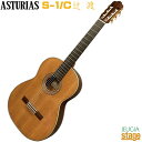 ASTURIAS S-1/C(杉)【Tsuji Wataru/辻 渡】アストリアス クラシックギター【Stage-Rakuten Guitar SET】Classical Guitar