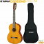 ڥեȥաYAMAHA CG122MSޥCG꡼ 饷å ʥ󸹡Stage-Rakuten Guitar SET