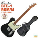 Bacchus BTE-1-RSM/M BLK BLACKバッカス エレキギター ローステッドメイプル ブラック【Stage-Rakuten Guitar SET】テレキャスター 黒