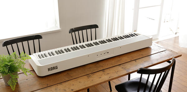 KORG B2+ WHITE