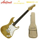 AriaPro2 714-AE200 YGAA v Yellow Gold CG[ S[h GLM^[yStage-Rakuten Guitar SETz