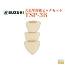 SUZUKI アンサンブルピック(バス用) TSP-3Bスズキ 鈴木楽器【Stage-Rakuten Japanese musical instrument】