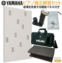 【ピアノ適正練習用 合計5点セット】TCH 調音パネル + 補助ペダル・足台・キャリングバッグ・巾着 セット【Stage-Rakuten】音の乱反射防止など音響障害を改善!音響特性を最適化してスッキリ聞き取りやすい空間作りに!