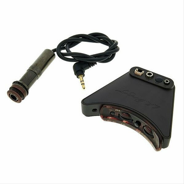 L.R.Baggs Session VTC���륢����Хå��� ���å����VTC �������ѥԥå����å�