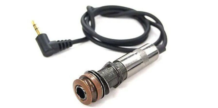 L.R.Baggs M1 Passive