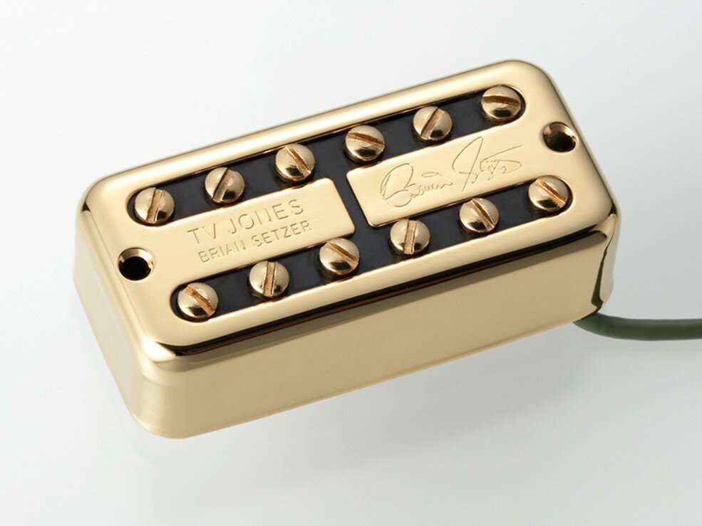TV Jones Brian Setzer Signature Universal Mount Neck, Goldブライアン・セッツァー ゴールド