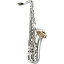 YAMAHAʥޥϡ TenorSaxophone YTS-875SYAMAHA ƥʡå