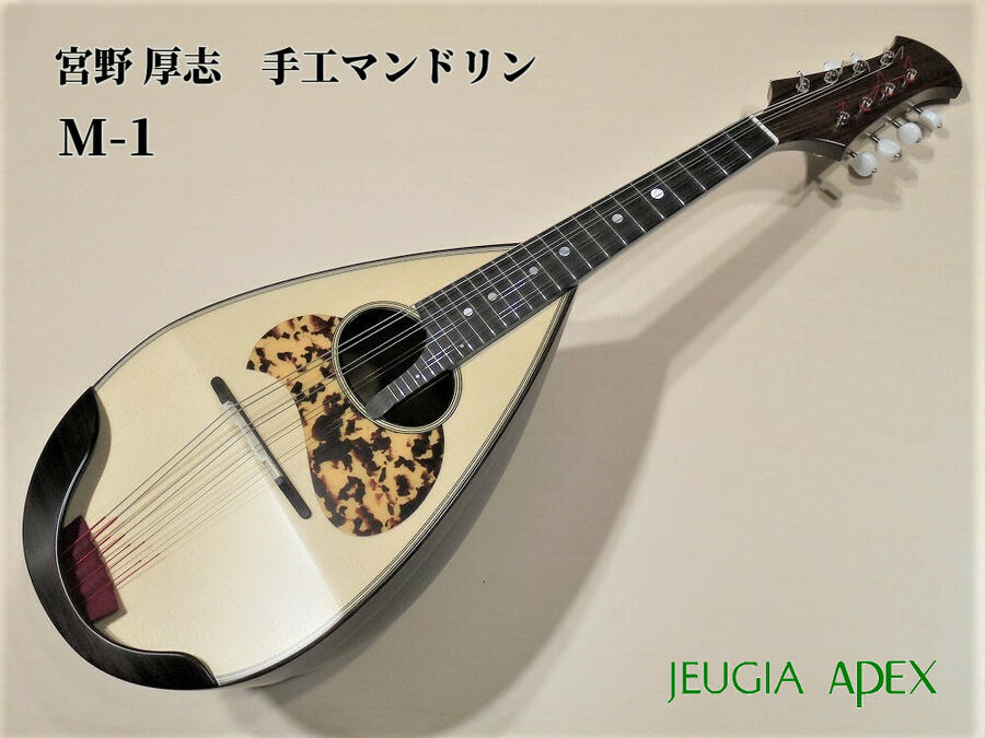  M-1 깩ޥɥAPEX-Rakuten Stringed instrument