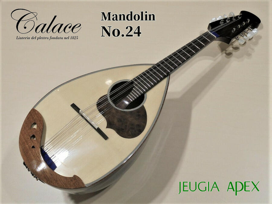 弦楽器, マンドリン Calace No.24 APEX-Rakuten Stringed instrument