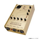 L.R.Baggs Gold Para D.I. 【L.R.Baggs50周年記念モデ・国内300台限定生産】