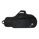 Reunion Blues RBX-ASX RBX Alto Sax Case アルトサックス ケース バッグ