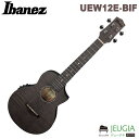 IBANEZ /UEW12E-BIF GNgbNEN Black Ice Flat