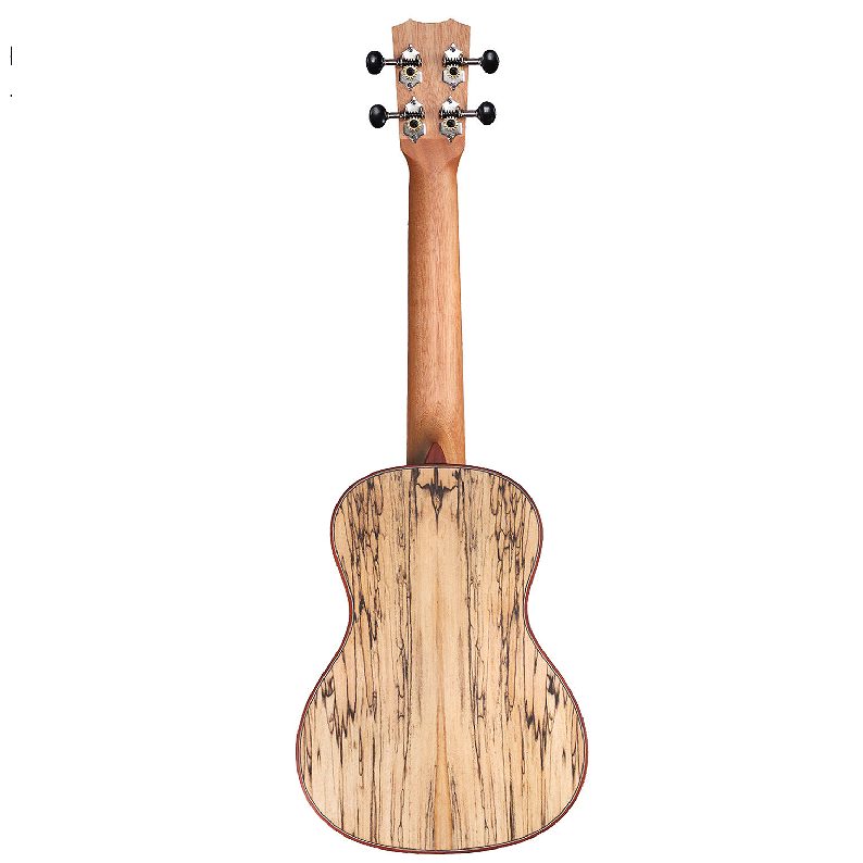Cordoba/24S SPRUCE ソプラノウクレレ ウクレレ コルドバ