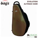 bags EVOLUTION EFAS INNO TOBACCOアルトサックス ハードケース バッグス イノタバコ