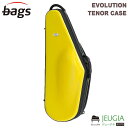 bags EVOLUTION EFTS YEL(イエロー) テナーサックス ハードケース バッグス