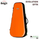 bags EVOLUTION EFTR ORA(オレンジ) トランペット ハードケース バッグス