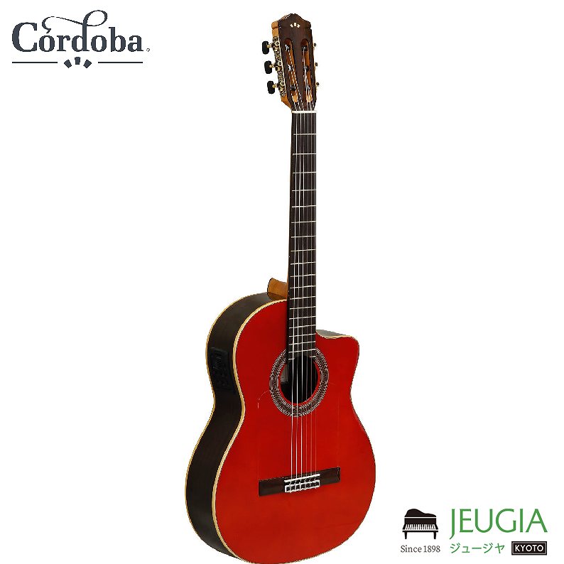 Cordoba/GK Studio Negra WINE RED ���饷�å������� ����ɥ� �ʥ����󥮥���