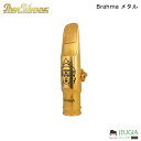 Theo Wanne ( セオワニ )/Brahma テナーサックスマウスピース メタル