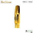 Theo Wanne ( セオワニ )/ELEMENTS:FIRE 2 - Metalアルトサックスマウスピース メタル