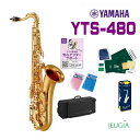 【お手入れセット選べるマウスピースパッチ・リード1箱つき】YAMAHA YTS-480 Tenor Saxophoneヤマハ テナーサックス スタンダードモデル
