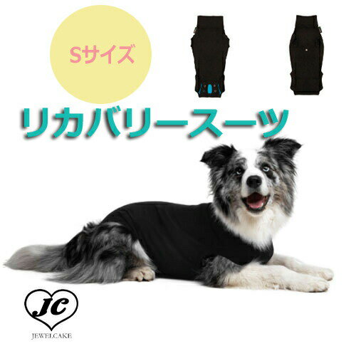 【3営業日以内発送】【送料無料】Sサイズ【Suitical】リカバリー・スーツ / XXXS-L[dad-way（ダッドウ..