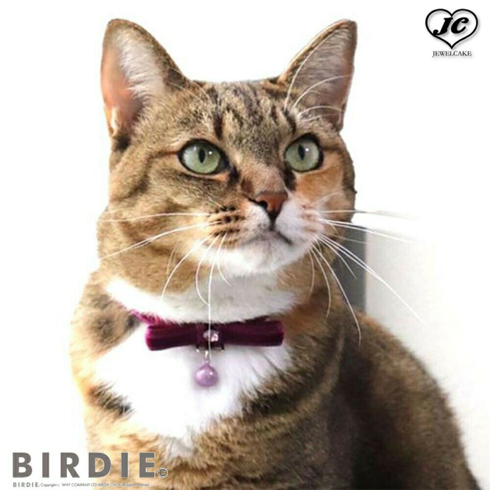 CATベイカーカラー　BIRDIE　バーディ　ソフトベロアのやわらかいリボンにクリスタル飾り　セイフティバックル仕様　仔猫から成猫まで使用できます　猫　猫用品　ペット用品　カラー　首輪　仔猫　成猫