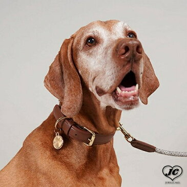 [サイズ:P]レザーカラー　HIGH5DOGS　ハイファイブドッグス　上質　革　便利　エレガント　ペット用品　ペットグッズ　犬用品　首輪　小型犬　中型犬