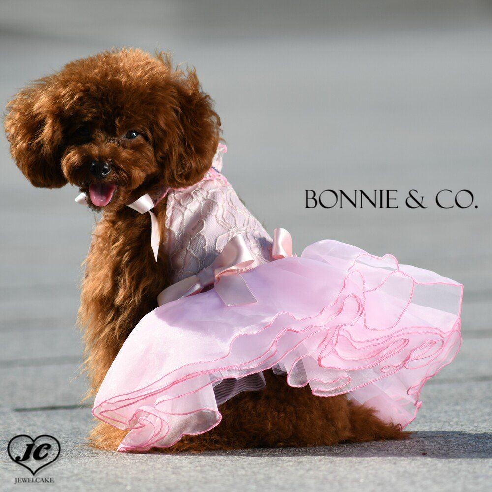 [サイズ:XS/S/M/L]Bonnie Brillant ボニー ブリリアント BONNIE&CO. ボニー&コー オーガンジー 上質なラメ入り コードレース 高級感 スパンコール 淡い 上品 ホルターネック パーティー 犬 犬…
