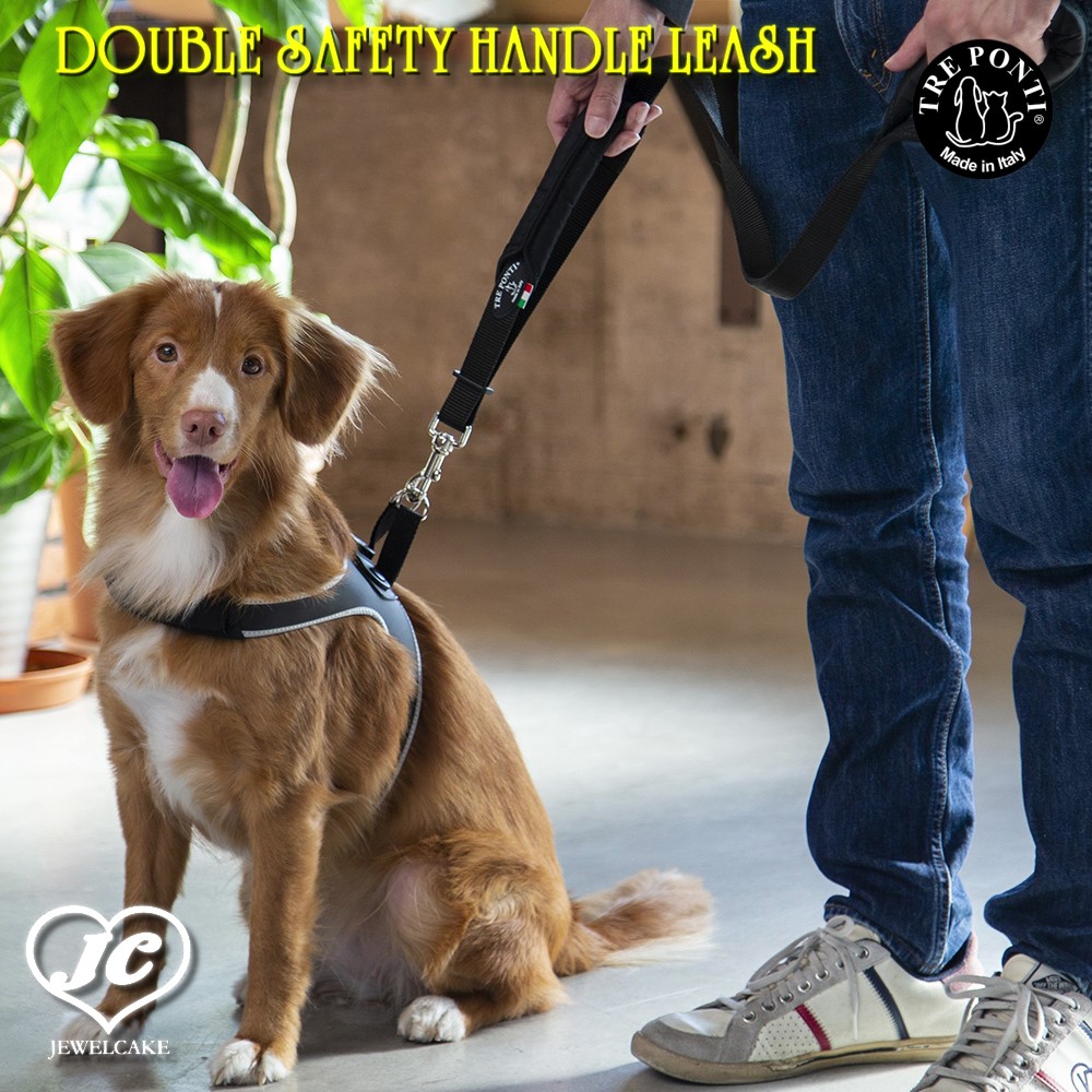 【メール便対応】長さ:105cm DOUBLE SAFETY HANDLE LEASH TRE PONTI LTP303 中型犬 大型犬用リード トレポンティ 犬服 ペット ペットグッズ 犬用品 大型犬 中型犬【犬服 ブランド】