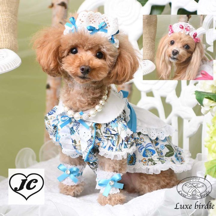 【送料無料】LUXEBIRDIE リュクスバーディ 犬服 ドッグウェア アクセサリー LB9468 ミナージュヘッドドレス 小型犬 お茶会 メイド 可憐 かわいい 写真映え PINK BLUE